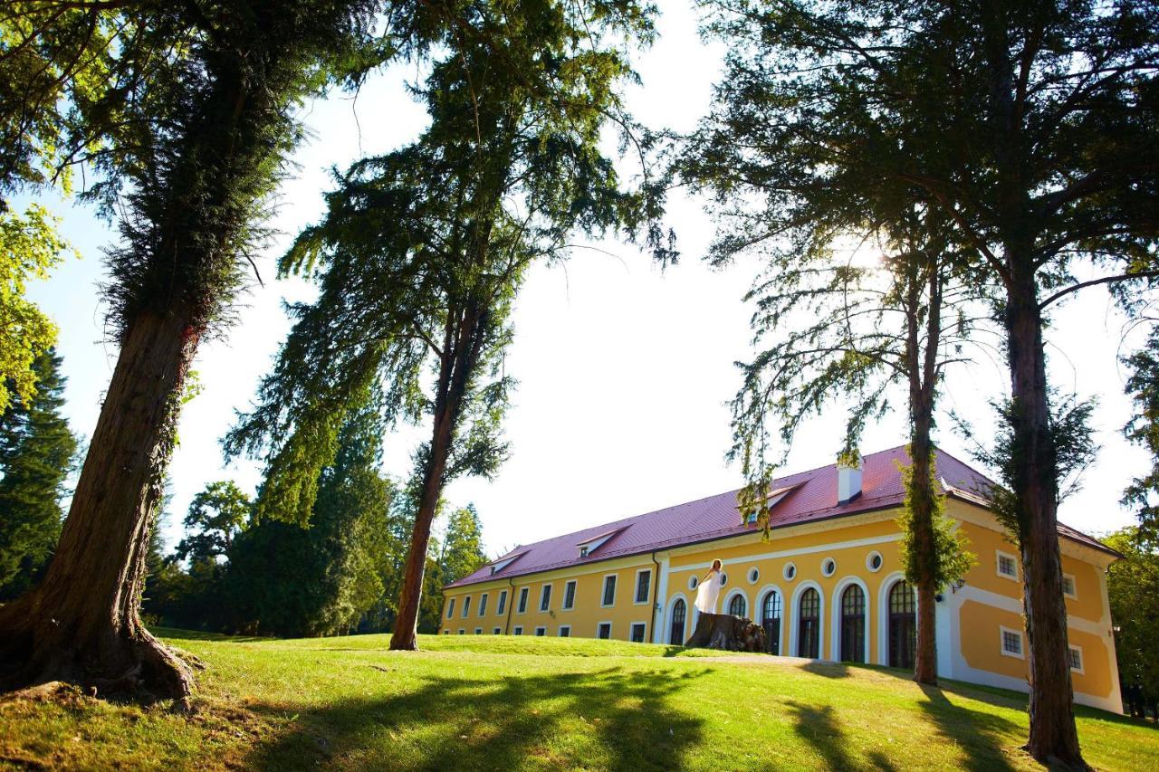 Obrezje Mokrice Castle Estate酒店 外观 照片